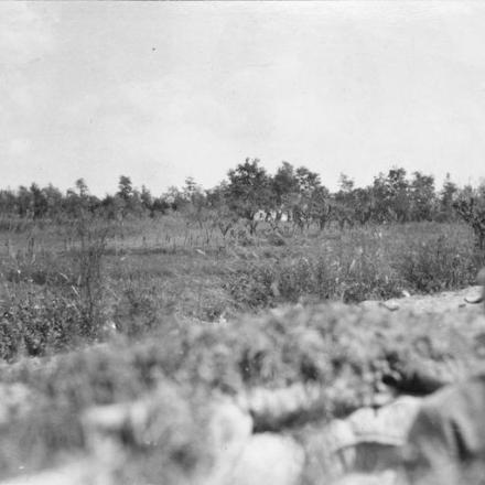 Posizioni italiane lungo la diga del Piave, 1918. © IWM (Q 65255)