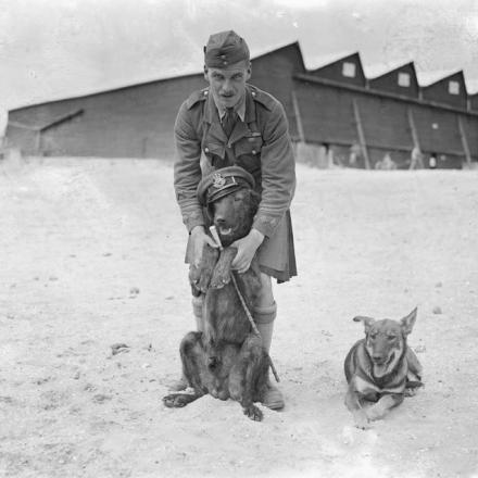 Il Capitano Gordon Duff all'aerodromo di Le Crotoy con un cane che indossa il nuovo cappellino RAF, il 2 luglio 1918. © IWM (Q 12085)
