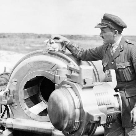L'apertura di un obice da 12 pollici, sezione a destra, 444a batteria d'assedio, Royal Garrison Artillery, vicino ad Arras 19 luglio 1918. Un gattino è in cima all'obice. © IWM (Q 6873)