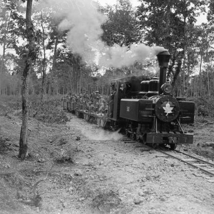 I giornalisti canadesi attraversano la foresta di Conches su una ferrovia leggera durante la loro visita al Corpo Forestale Canadese, il 22 luglio 1918. © IWM (Q 9105)
