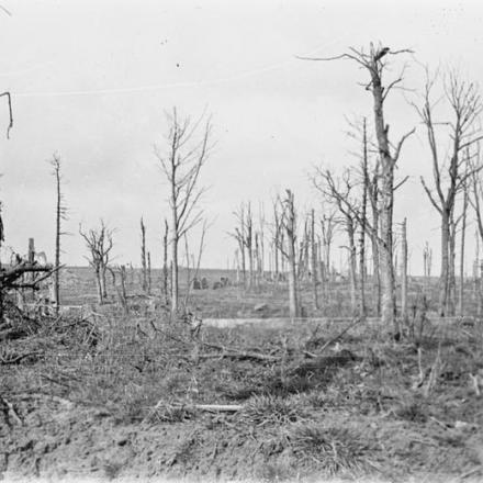 Il Kemmel, preso dalle strade trasversali guardando nella direzione di Poperinghe, mostra le rovine del castello sullo sfondo. © IWM (Q 384)