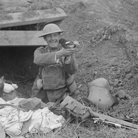 Un soldato britannico tiene una gazza all'ingresso di una postazione di mitragliatrice tedesca catturata, Peronne, 3 settembre 1918. © IWM (Q 11269)