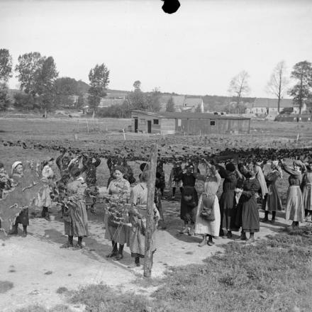Donne francesi preparano il reticolato di mascheramento sotto controllo britannico. Vicino ad Arras, il 4 settembre 1918.© IWM (Q 7091)