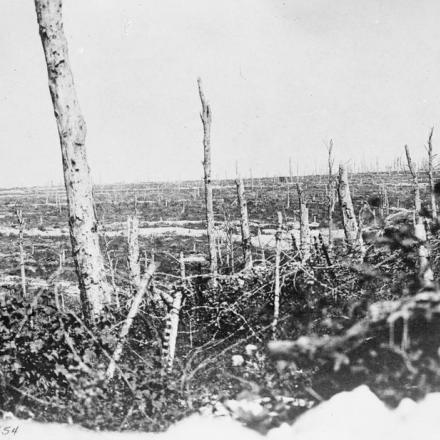 Veduta delle trincee tedesche di prima linea a Bois d'Eparges prima dell'attacco della 26a divisione americana, 9 settembre 1918.© IWM (Q 49848)