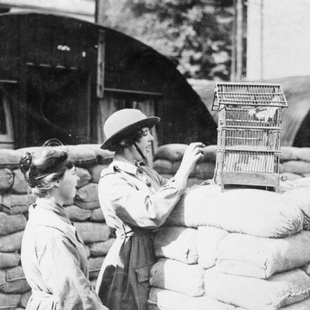 Un campo del Queen Mary's Army Auxiliary Corps (QMAAC) Nissen Hut Camp a Rouen, 10 settembre 1918. © IWM (Q 9305)