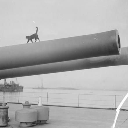 La mascotte della HMS QUEEN ELIZABETH cammina sul cannone da 15 pollici. © IWM (Q 13781) 