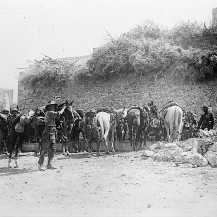 Palestina. Battaglia di Sharon. Uomini del 4 ° Reggimento Chasseurs d'Afrique e 5 ° Australian Light Horse, nel villaggio di Anebta, che entrarono il 19 settembre 1918.© IWM (Q 12324)