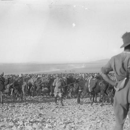 Palestina, battaglia di Damasco. Alcuni dei prigionieri catturati a Barada Gorge dalla 3a e 5a Brigata a cavallo leggera australiana, il 30 settembre 1918. © IWM (Q 12354)