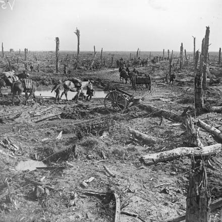 Quinta battaglia di Ypres. Artiglieria reale e muli da soma della 29a Divisione a Hooge, 1 ottobre 1918. © IWM (Q 11796)