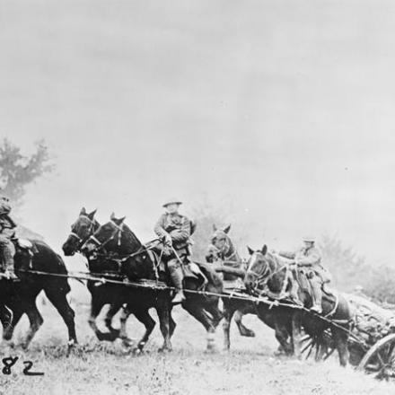 Una batteria trainata da cavalli della Royal Field Artillery che galoppa in azione ad Audigny, il 17 ottobre 1918. © IWM (Q 51453)