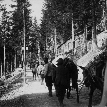 Trasporto di salmerie - Fonte: ©Museo civico del Risorgimento di Bologna