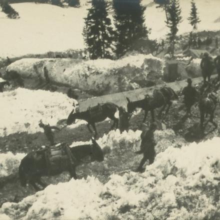 Alpini e asini verso le trincee - Fonte: Fondo fotografico Monelli, Biblioteca Antonio Baldini