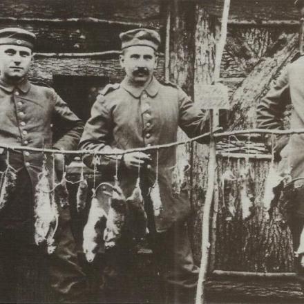 Le trincee erano infestate di ratti