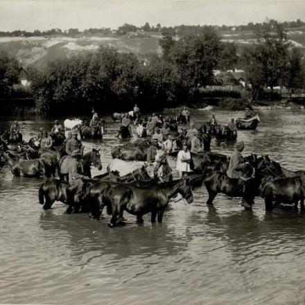  Il fiume Siret. © retroua.com  - Author unknown - 