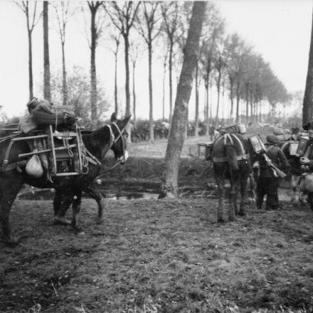 Il ritiro da Mons: fanteria leggera francese con muli da soma. © IWM Q 109687