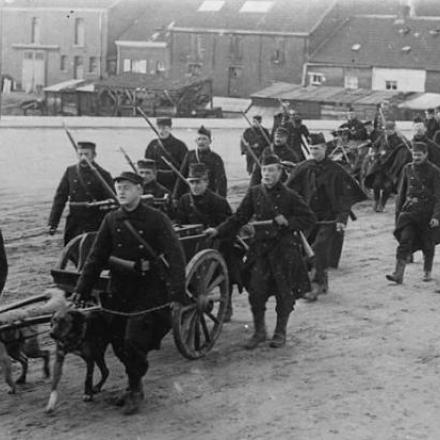 Artiglieria tirata da cani, nei pressi di Ypres