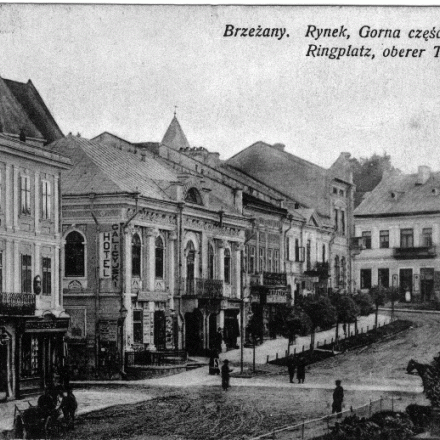 Brzezany