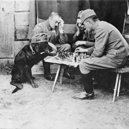 Truppe austro-ungariche con il loro cane (sigaretta in bocca e cappello), che giocano a scacchi fuori dal rifugio sul fronte italiano. © IWM Q 112624