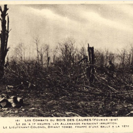 Bois de Caures, Flabas, Francia. Fonte: //http://verdun2016.centenaire.org/