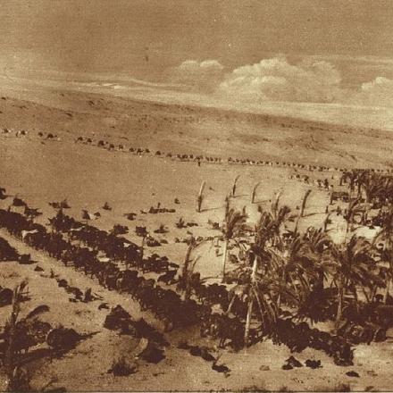 Foto delle forze britanniche nell'oasi di Oghratine, vicino a Romani. © Wikipedia - British Government - public domain