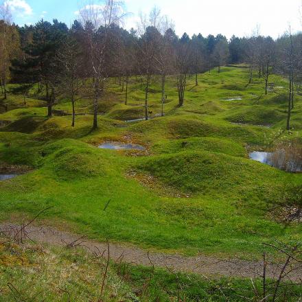 Campo di battaglia di Verdun fotografato nel 2005 - Fonte: Immagine di pubblico dominio