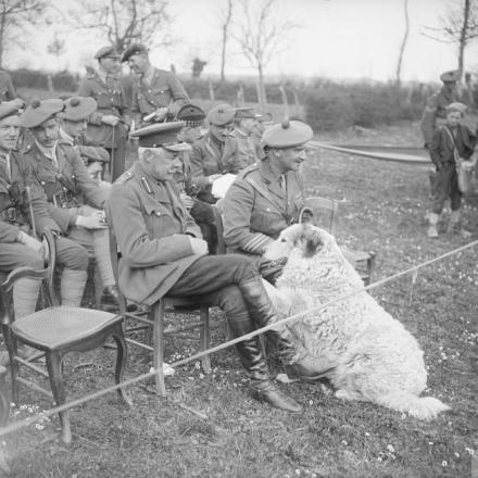 Ufficiali inglesi assistono ad un incontro sportivo a Bailleul- aux-Cornailles, 10 maggio 1917. Si noti un grosso cane (animale domestico del reggimento?) che cerca di attirare l'attenzione del generale.© IWM (Q 5368