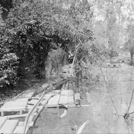 Ferrovia leggera tedesca e postazione  di cannone nascosta dal fogliame sulla riva del fiume Scarpe a Fampoux, il 5 giugno 1917. © IWM (Q 6182)