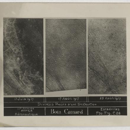 Diverse fasi di una distruzione, Bosco Camard: tre foto in trittico datate 17 giugno - 23 agosto 17. Tre foto in trittico. © europeana.eu_contributions_8589_attachments_83616