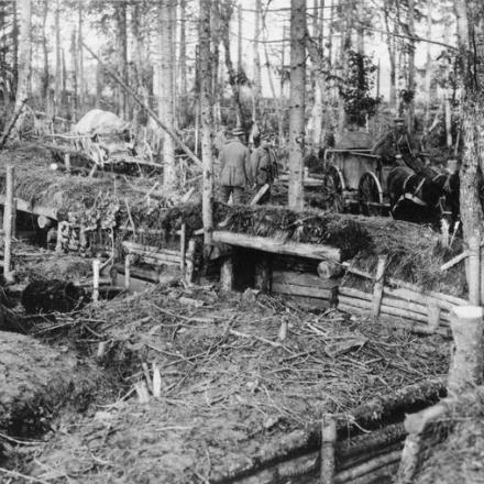 Truppe tedesche nelle trincee russe catturate nei boschi vicino a Jakobstadt, settembre 1917. © IWM (Q 86939)