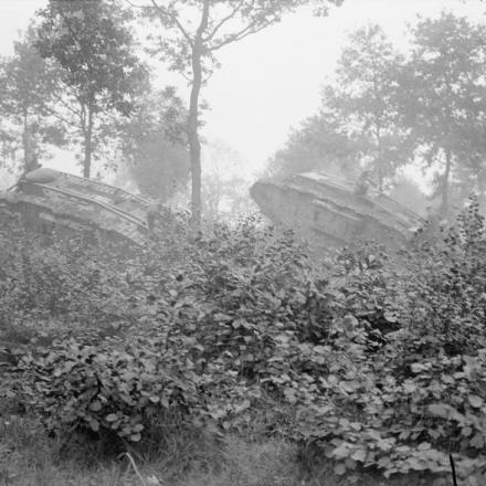 Due carri armati nei boschi vicino a Elverdinge, l'11 settembre 1917. © IWM (Q 3242)