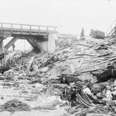 Scena lungo il percorso del ritiro italiano sul fronte Tagliamento, novembre 1917. Cadaveri di cavalli morti sulla riva del fiume. © IWM (Q 60412)