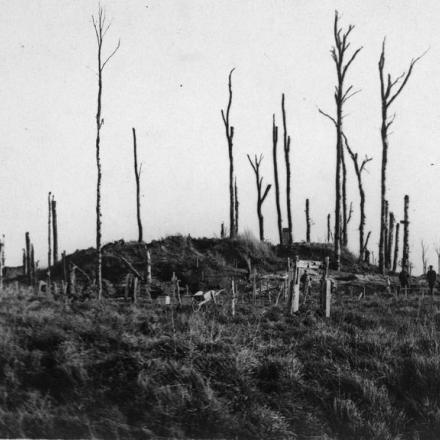 Tombe di guerra che circondano vecchie trincee tedesche tra Maurepas e Curlu, 10 novembre 1917. © IWM Q 78633