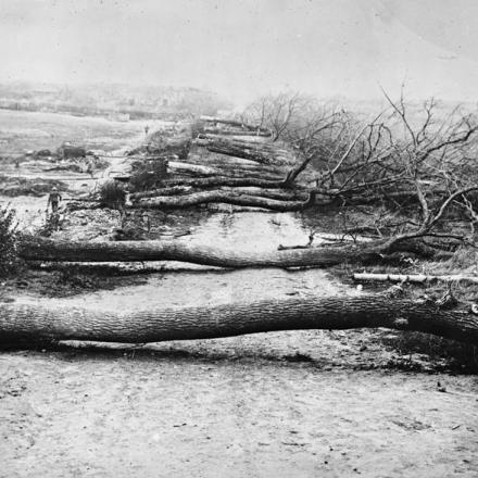  Alberi abbattuti dai tedeschi lungo una strada vicino a Havrincourt per ostacolare l'avanzata britannica. © IWM (Q 3178)