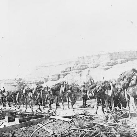 Il raid su Amman, marzo 1918. Uomini del Camel Transport Corps con i loro cammelli attraversano il ponte di El Ghoraniyeh.© IWM Q 12606
