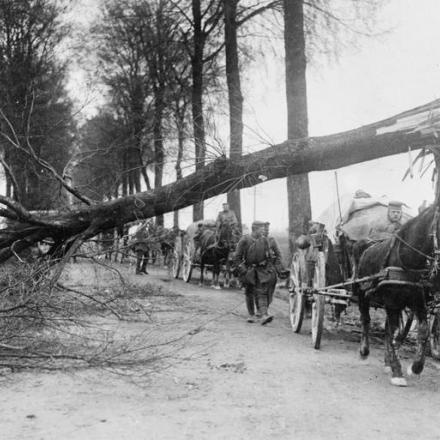 Colonne di trasporto tedesche trainate da cavalli sulla strada durante l'avanzata verso Amiens, marzo 1918. © IWM Q 55225