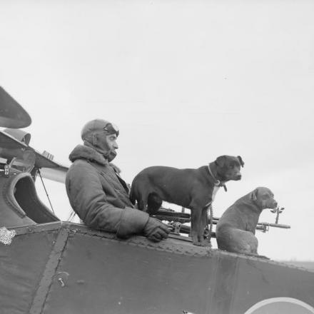 L'osservatore in un Bristol Fighter dei Royal Flyng Corps all'aeroporto di Vert Galand. Sulla fusoliera due dei cani mascotte del 22° Squadrone, il 1 aprile 1918. Da quel giorno, con la fusione tra Royal Flyng Corps e Royal Naval Air Service  nasce la Royal Air Force   © IWM (Q 11991)