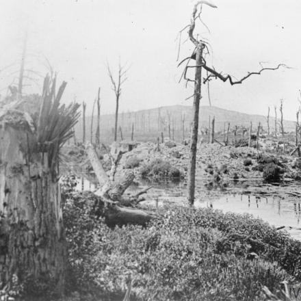 Desolazione intorno al Kemmel. © IWM (Q 17837) 