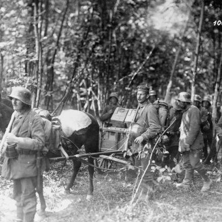 L'operazione Gneisenau. Una sezione di mortai tedesca con trasporto trainato da cavalli che si sposta attraverso la campagna boscosa sul Montdidier - Settore Noyon del fronte, giugno 1918