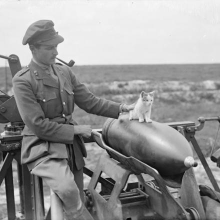 Un ufficiale della 444th batteria d'assedio, Royal Garrison Artillery, fuma la pipa mentre sorveglia un gattino in bilico su una granatai vicino ad Arras, il 19 luglio 1918. © IWM (Q 6860)