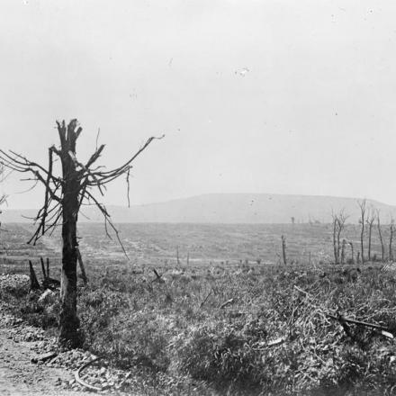 Mont Kemmel, fotografato dalla strada per Kemmel a La Clytte, a 500 metri da quest'ultima. © IWM (Q 17859)