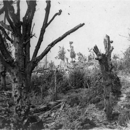 Mont-Saint-Quentin, il castello e il suo parco in rovina, 8 settembre 1918. © IWM (Q 78719)