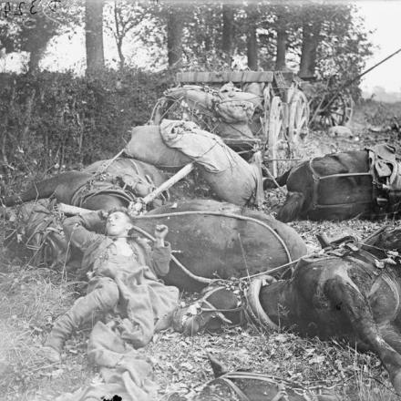 Il corpo di un soldato tedesco e corpi di cavalli sul campo di battaglia durante l'avanzata britannica. Sullo sfondo c'è un carretto per le munizioni distrutto. Le Quesnoy, 27 ottobre 1918. © IWM (Q 7156)