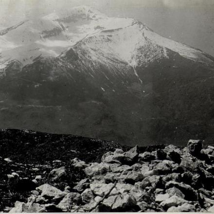Panorama dal punto di osservazione di  Biaena: Monte Altissimo. © bildarchivaustria.at_Preview_15632925