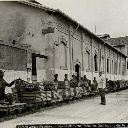 Operazione economica nei territori veneziani occupati, confisca del raccolto. 2059502_EU_FD_Austria