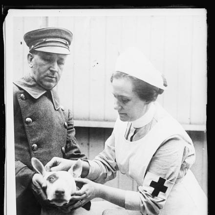 Infermiera della Croce Rossa medica un cane ferito - Library of the Congress