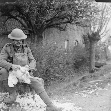 Un soldato britannico che spenna un pollo vicino a Robecq. 13 aprile 1518. © IWM (Q 7865)