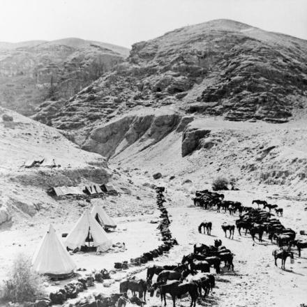 Uno squadrone, il 9 ° reggimento australiano di cavalleria leggera si accampa nella valle del Giordano vicino a Gerico, il 17 agosto 1918. Combattendo come fanteria a cavallo, gli uomini del Light Horse erano soprattutto boscimani, abituati a maneggiare cavalli e fucili e potevano tollerare la calura estiva della Palestina .