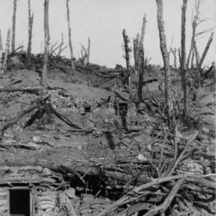 Trincee sul Podgora - © Bologna, Museo civico del Risorgimento