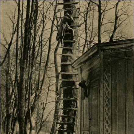 Una postazione di artiglieria a Memel