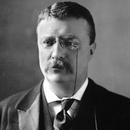 Theodore Roosevelt
